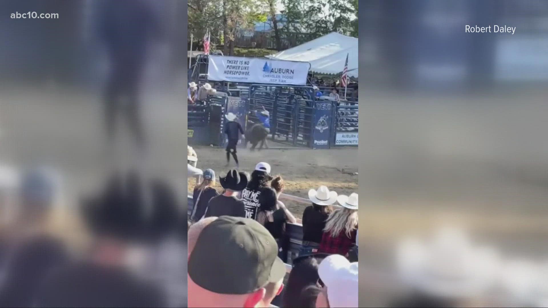 Video circulating on social media showed a gateman who was injured by a bull during the Gold Country Pro Rodeo on Saturday.