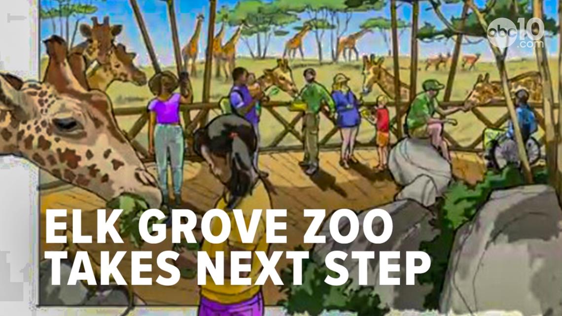 Elk Grove approves $800k for new zoo to become a 'destination city'