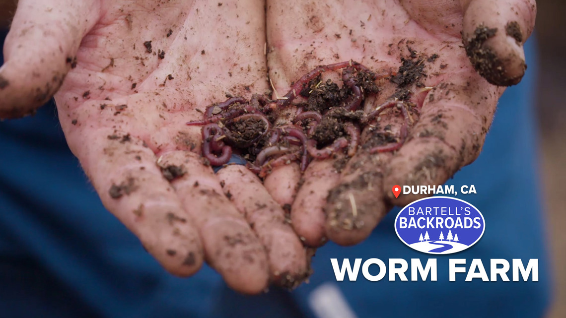 Durham worm farm produces millions of worms for soil and gardens | Bartell's Backroads