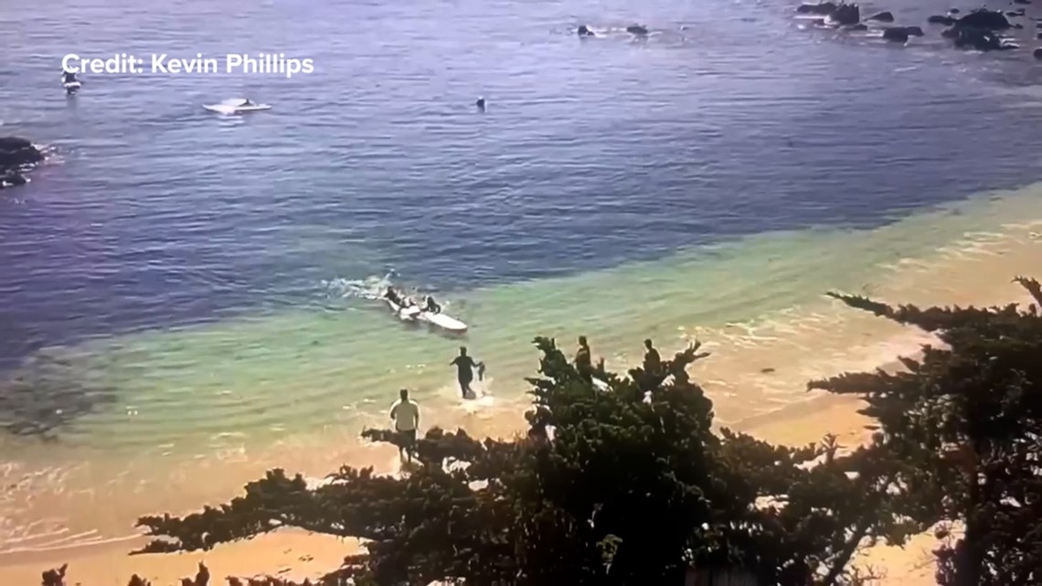 Steve Bruemmer, Pacific Grove shark attack victim, goes home - Vimarsana News
