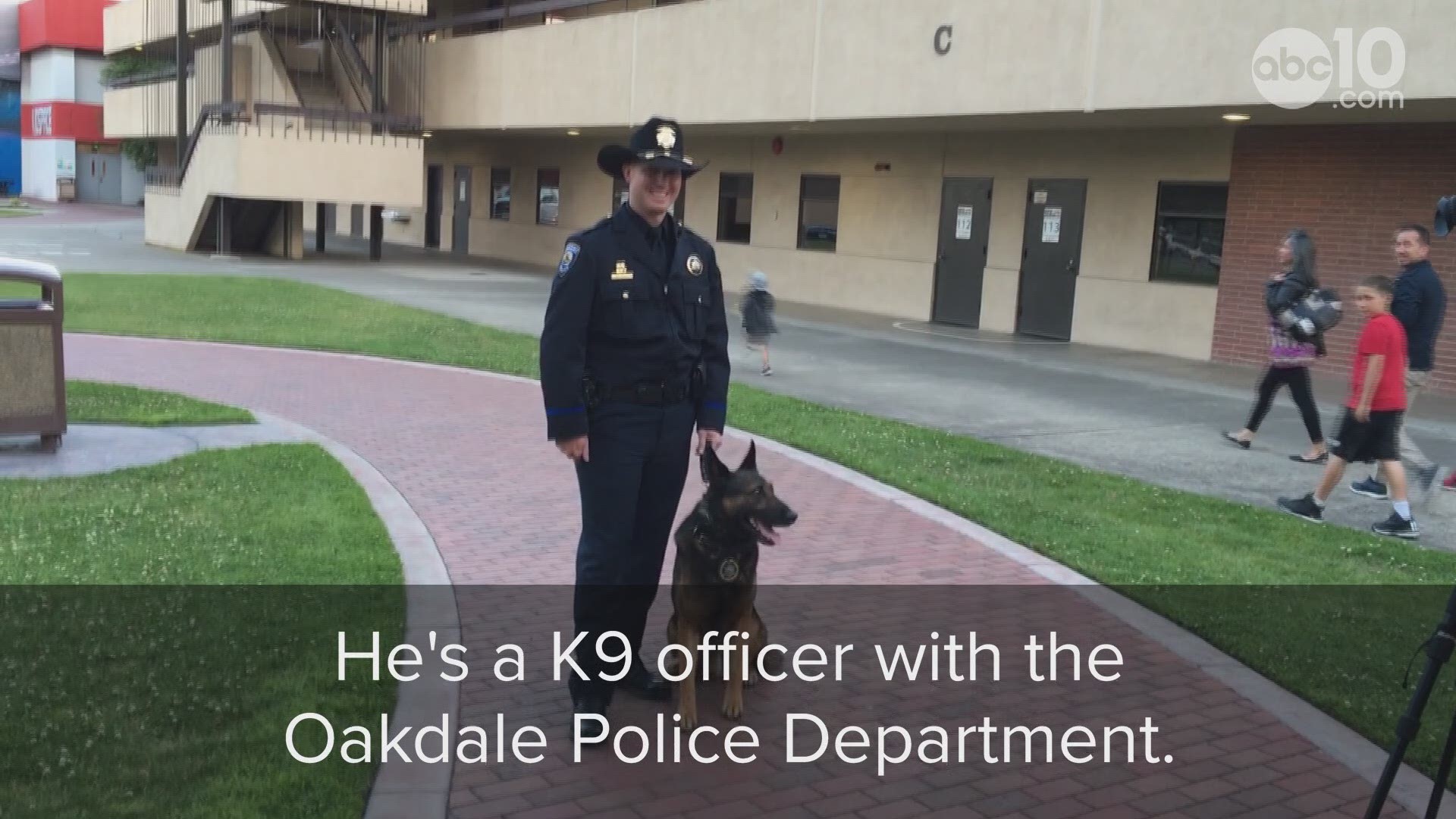 This pup is so sweet! Unless you're a fleeing felon... Meet Cruze, a K9 officer with the Oakdale Police Department.