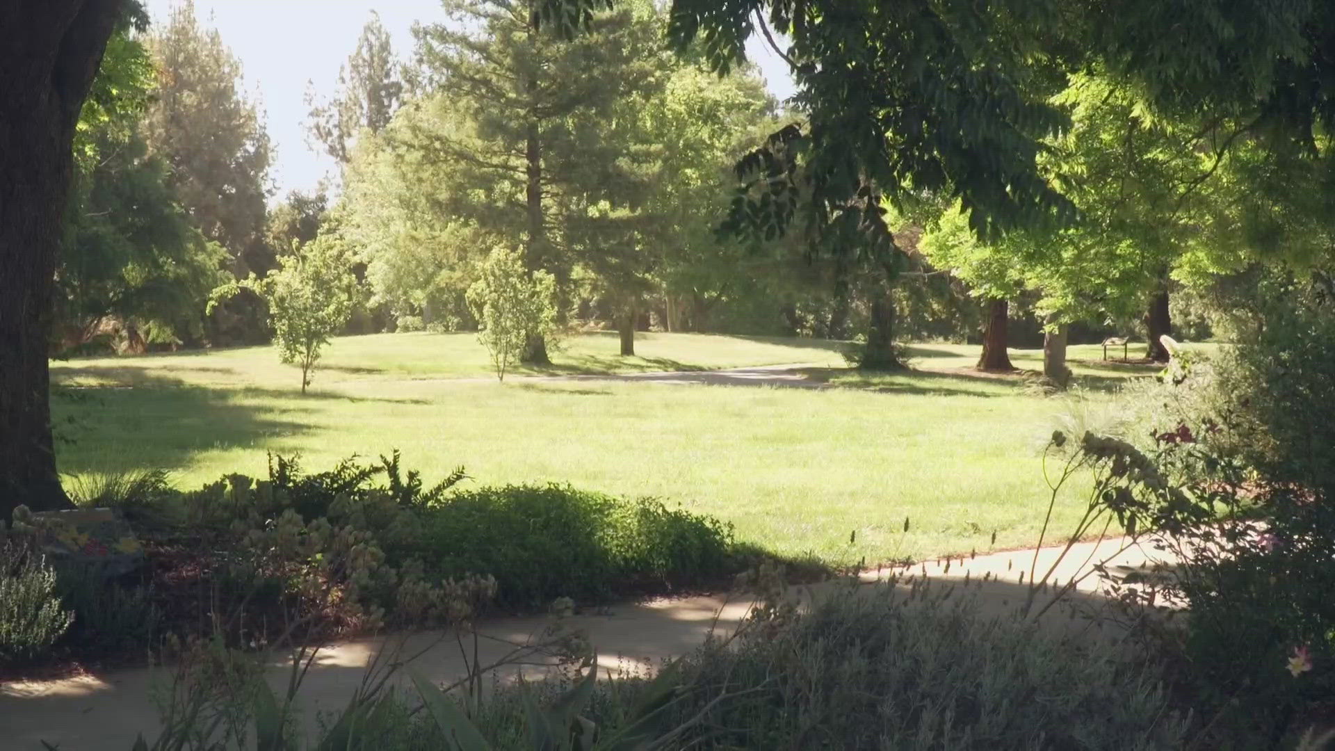 The UC Davis Arboretum and Public Garden provides several resources for spending time in nature at the UC Davis campus.