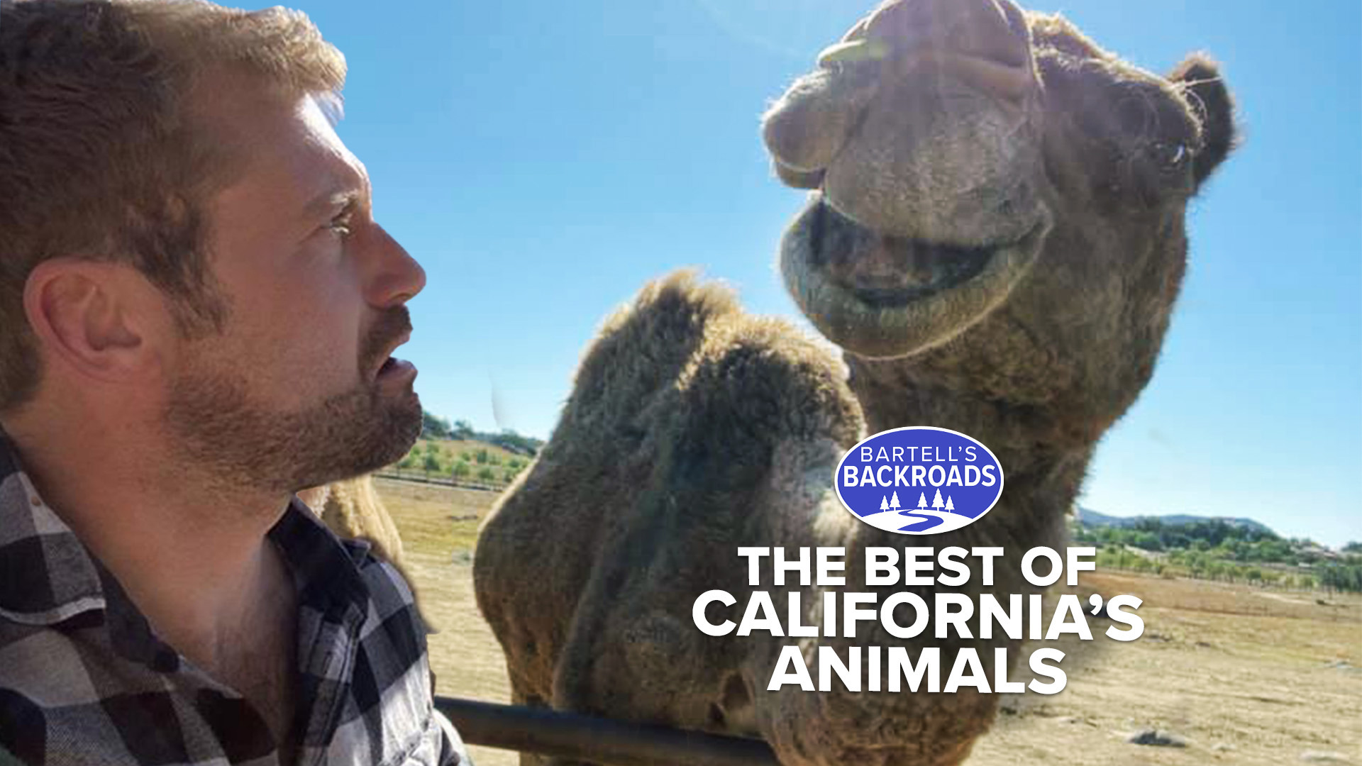 From sea otters to mountain lions, California’s wildlife is full of surprises. Watch Backroads to see where these amazing animals call home.