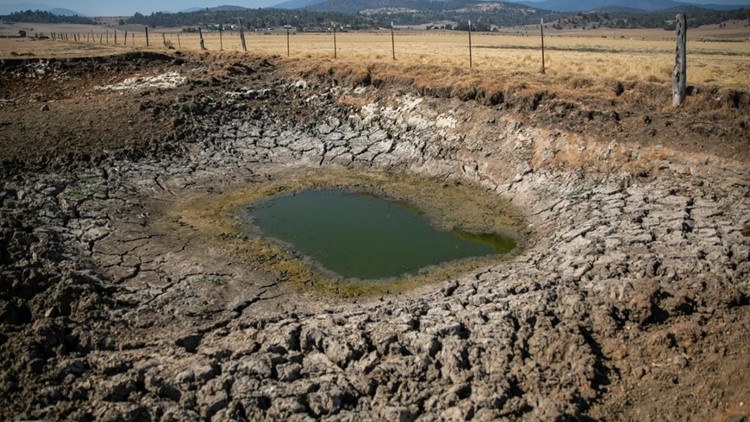 California ranchers intentionally violated an emergency water order. Now lawmakers want to triple the fines