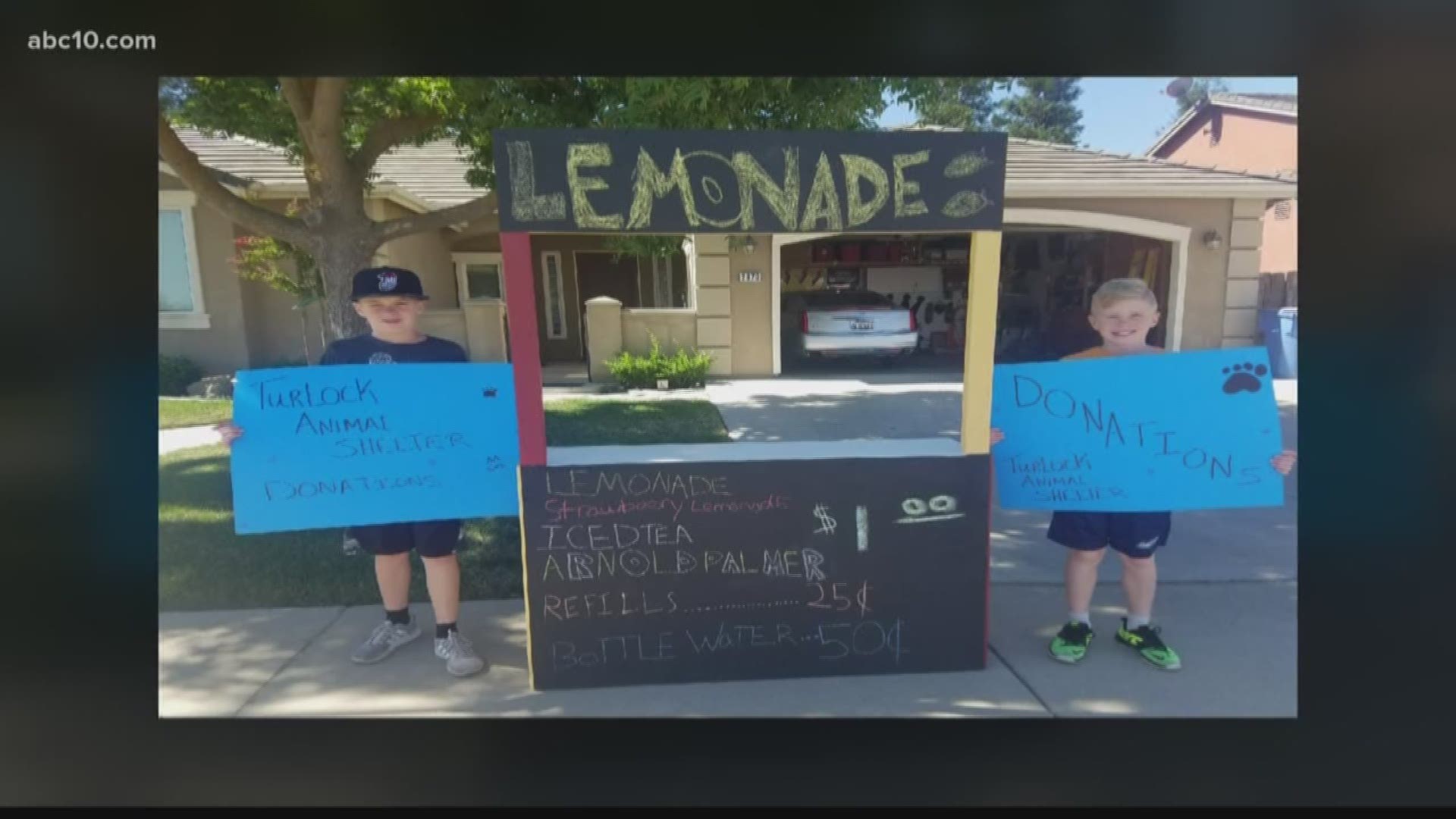 Two Turlock twins spent the weekend selling refreshments to raise money for their local animal shelter. 
