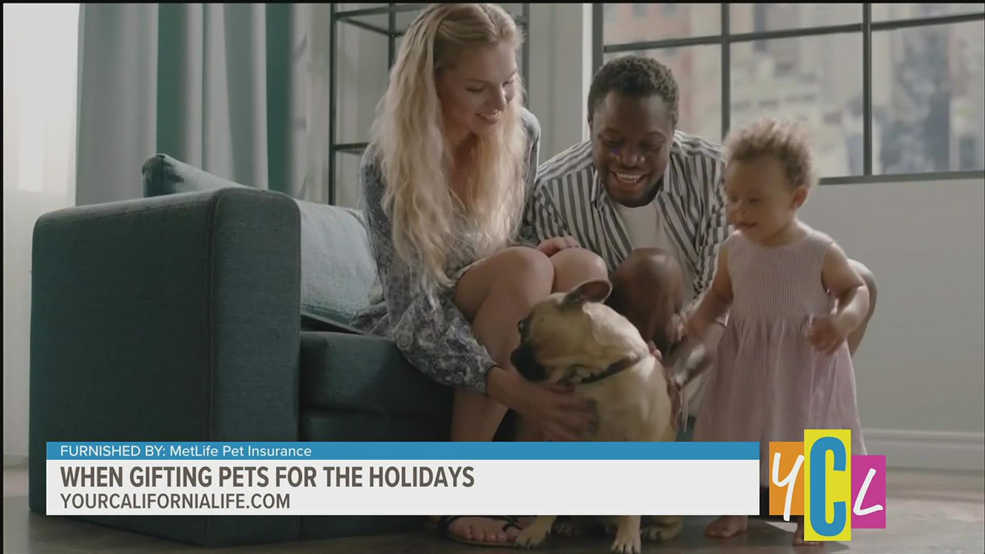 Gifting a pet for the holiday sounds like a cute idea but here’s some things to consider before adding a four-legged friend to your family.