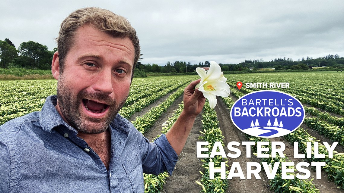 Welcome to the Easter Lily Capital of the World | Bartell's Backroads