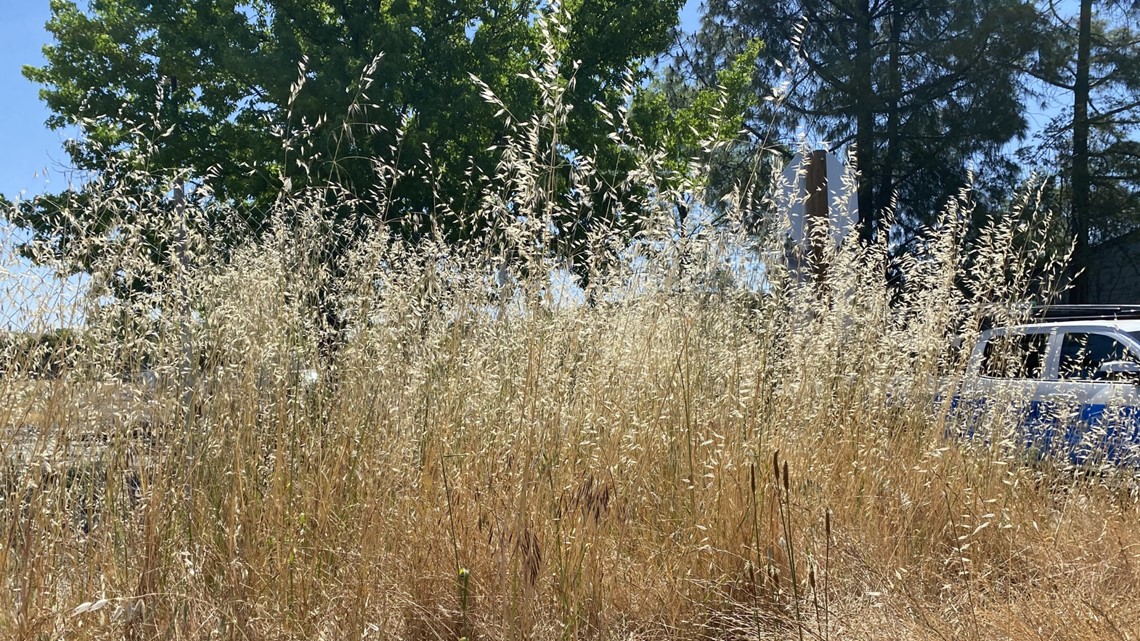 Grass fire concerns grow in Sacramento County region - Vimarsana News