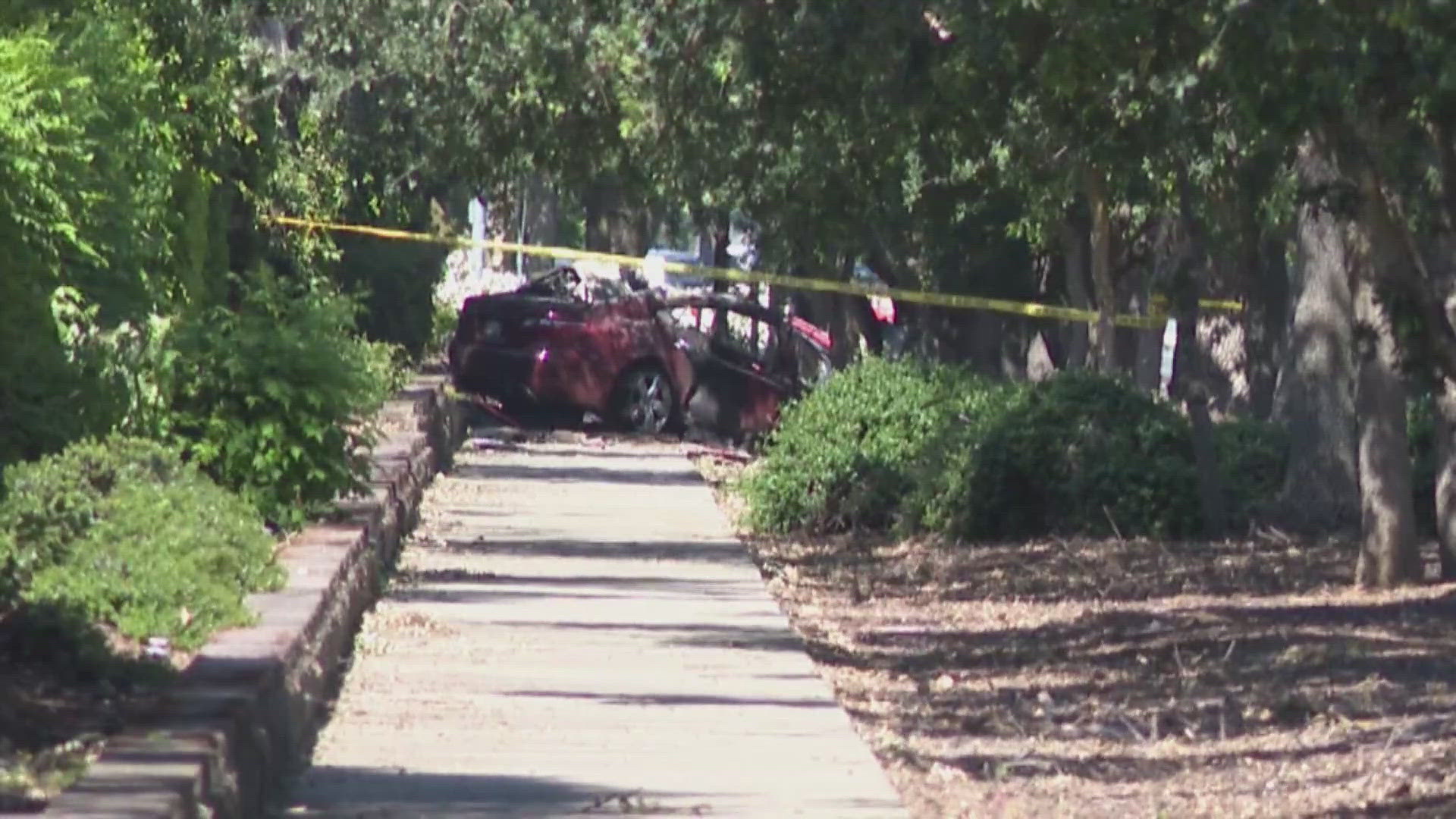 A driver died after crashing into a tree in Elk Grove early Saturday morning, according to the Elk Grove Police Department.