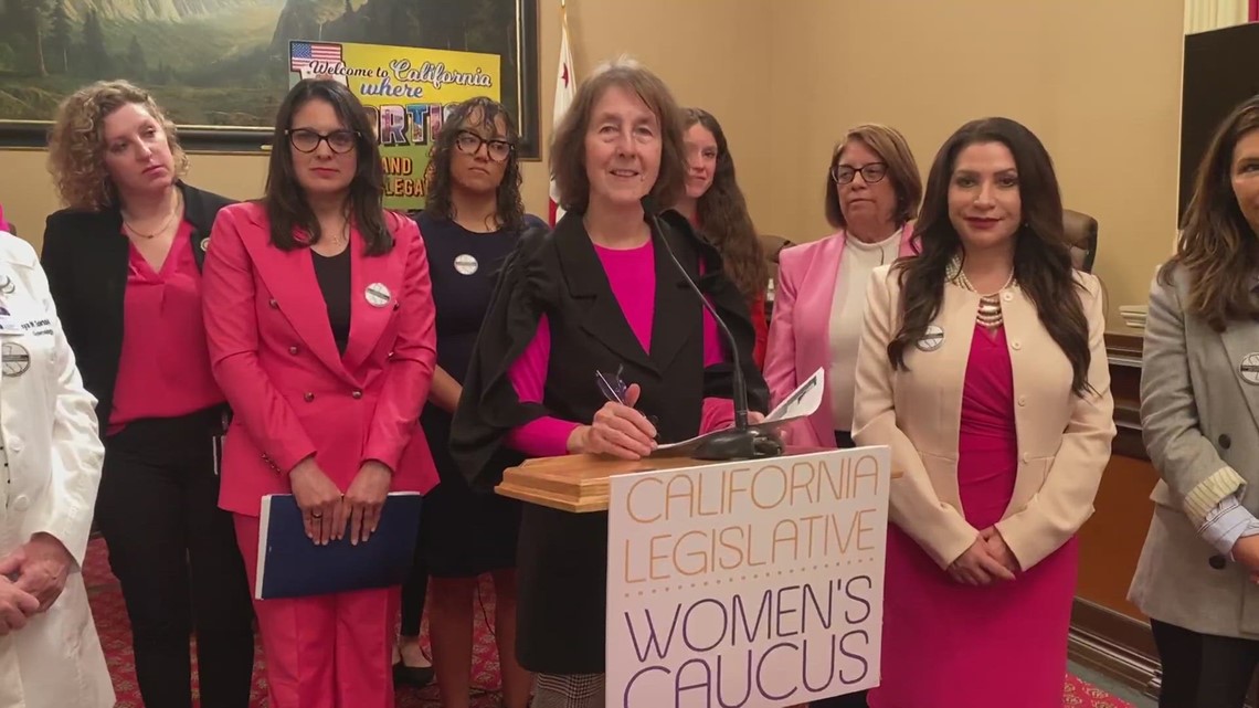 CA lawmakers unveil latest package of abortion-related bills - Vimarsana News