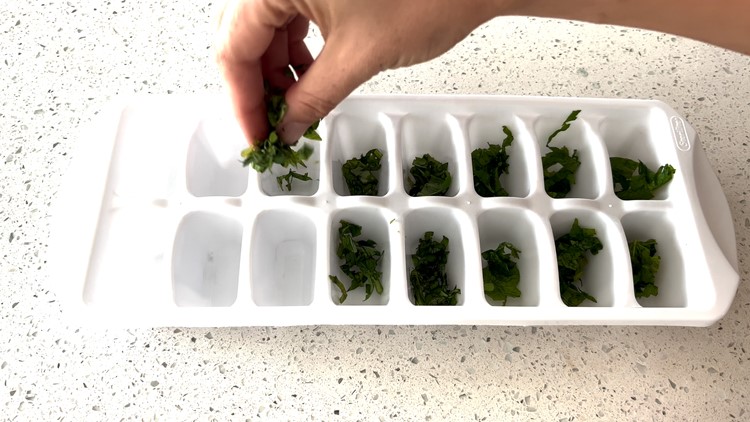 How to Make Frozen Herb Cubes - It's a Veg World After All®