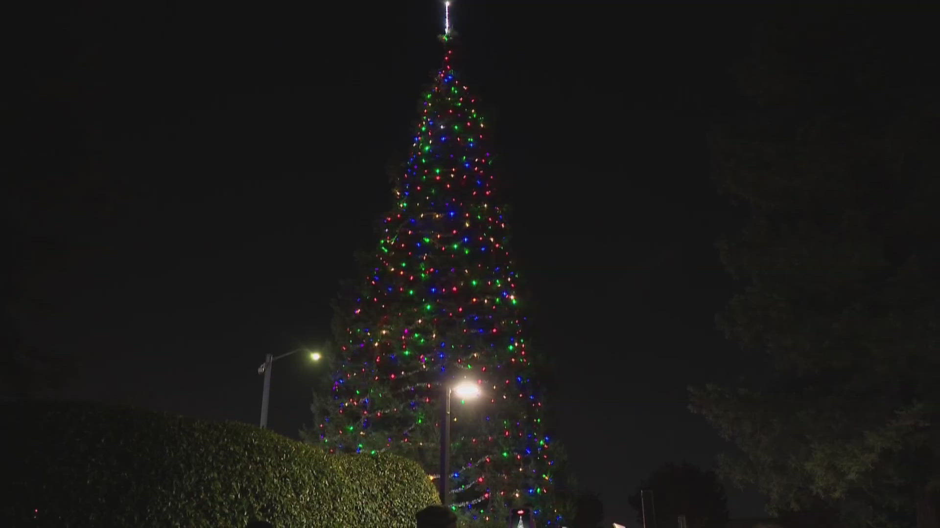 Emotional Night in Stockton: Tree of Lights Honors Loved Ones at Delta  College