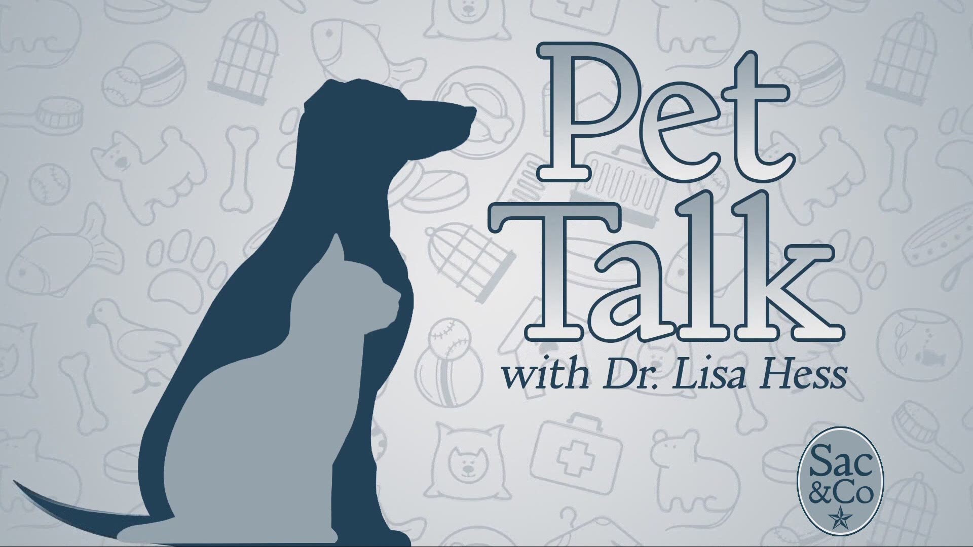 The holidays are a wonderful time of year! But they can also be dangerous for our four-legged family members. Keep your pets safe this holiday season. Dr. Lisa Hess tells us how!