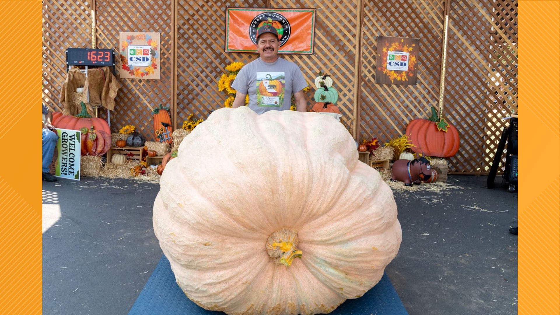 Elk Grove Giant Pumpkin Festival returns for 2022 | abc10.com