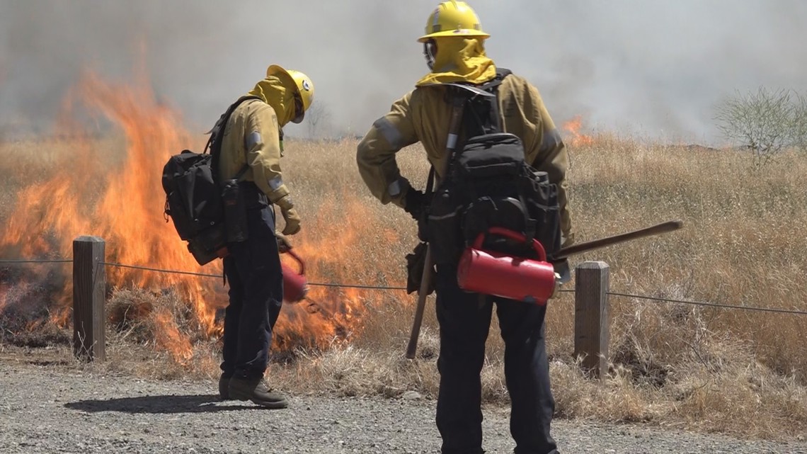 Sacramento County holding controlled burn for wildfire prevention - Vimarsana News