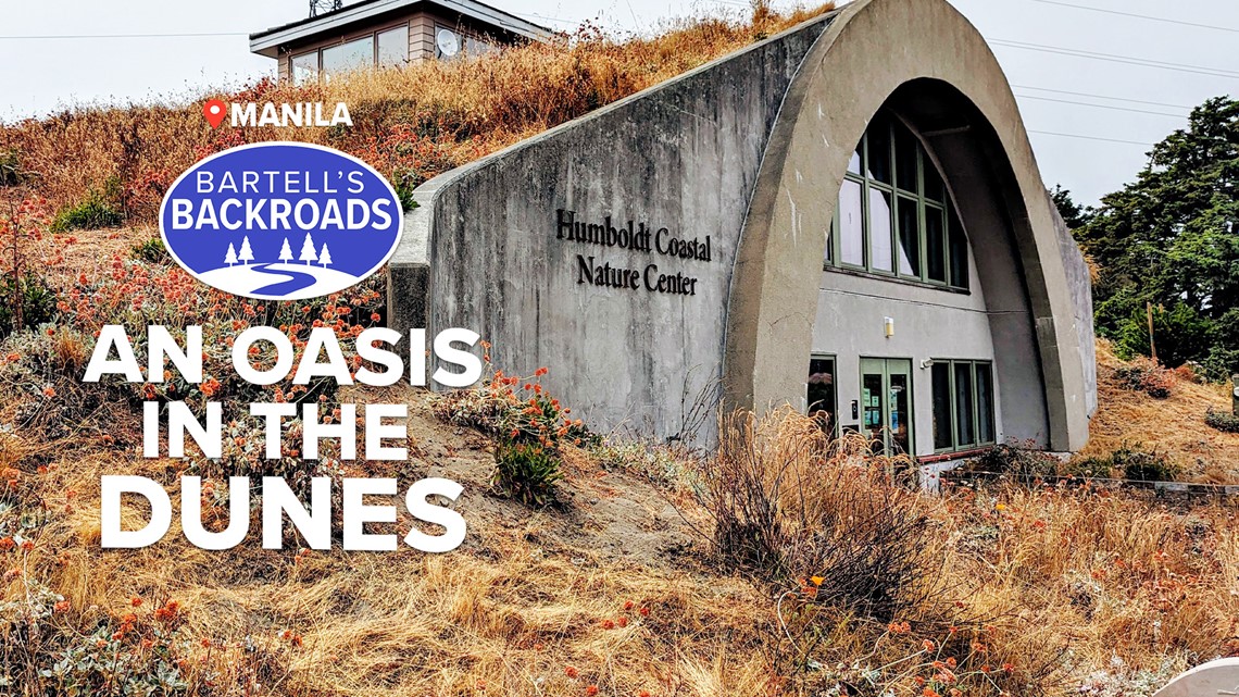 Bartell's Backroads: An oasis between the dunes - Vimarsana News