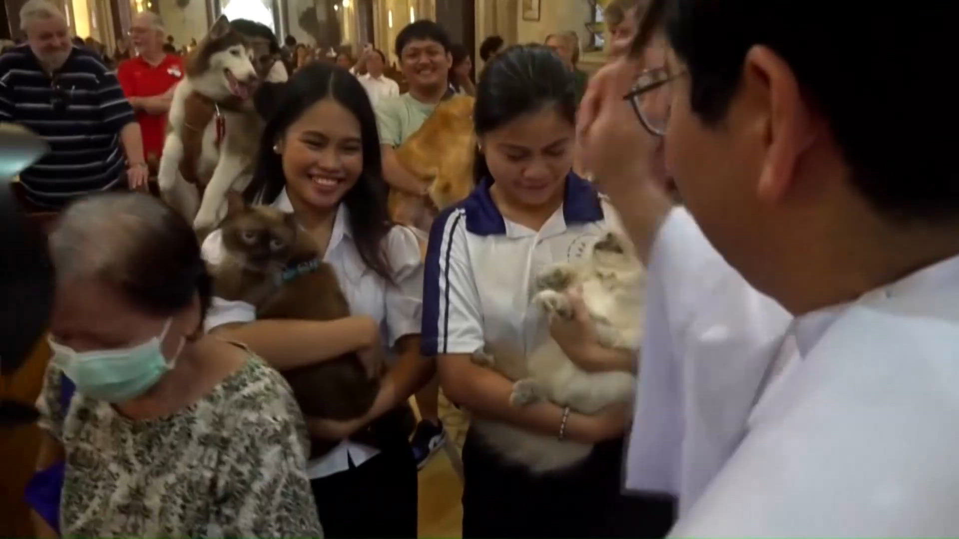 Pets of all kinds gather for Catholic blessing on St. Francis feast day