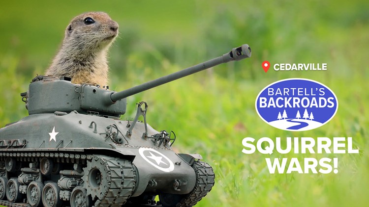 Squirrel Wars! | The brutal history behind these hated rodents