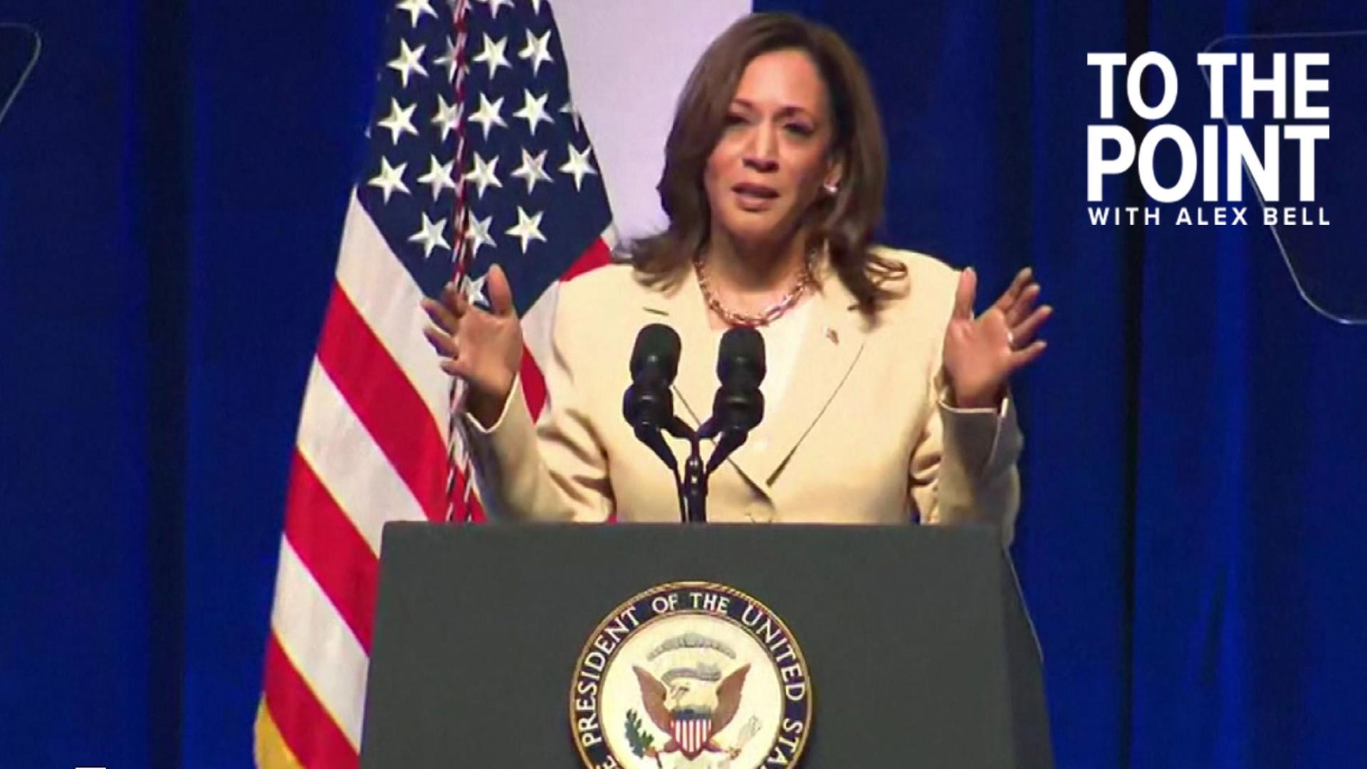 Political analysts weigh in on Kamala Harris' presidential campaign