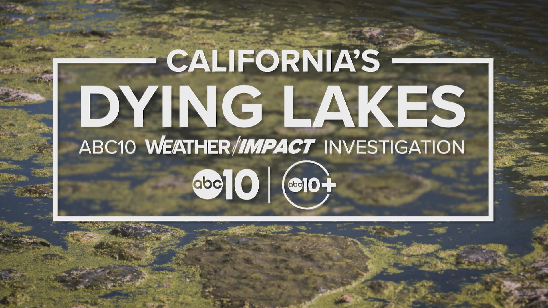 The ABC10 Weather Impact Team investigates algae and bacterial threats to some of California’s largest natural lakes