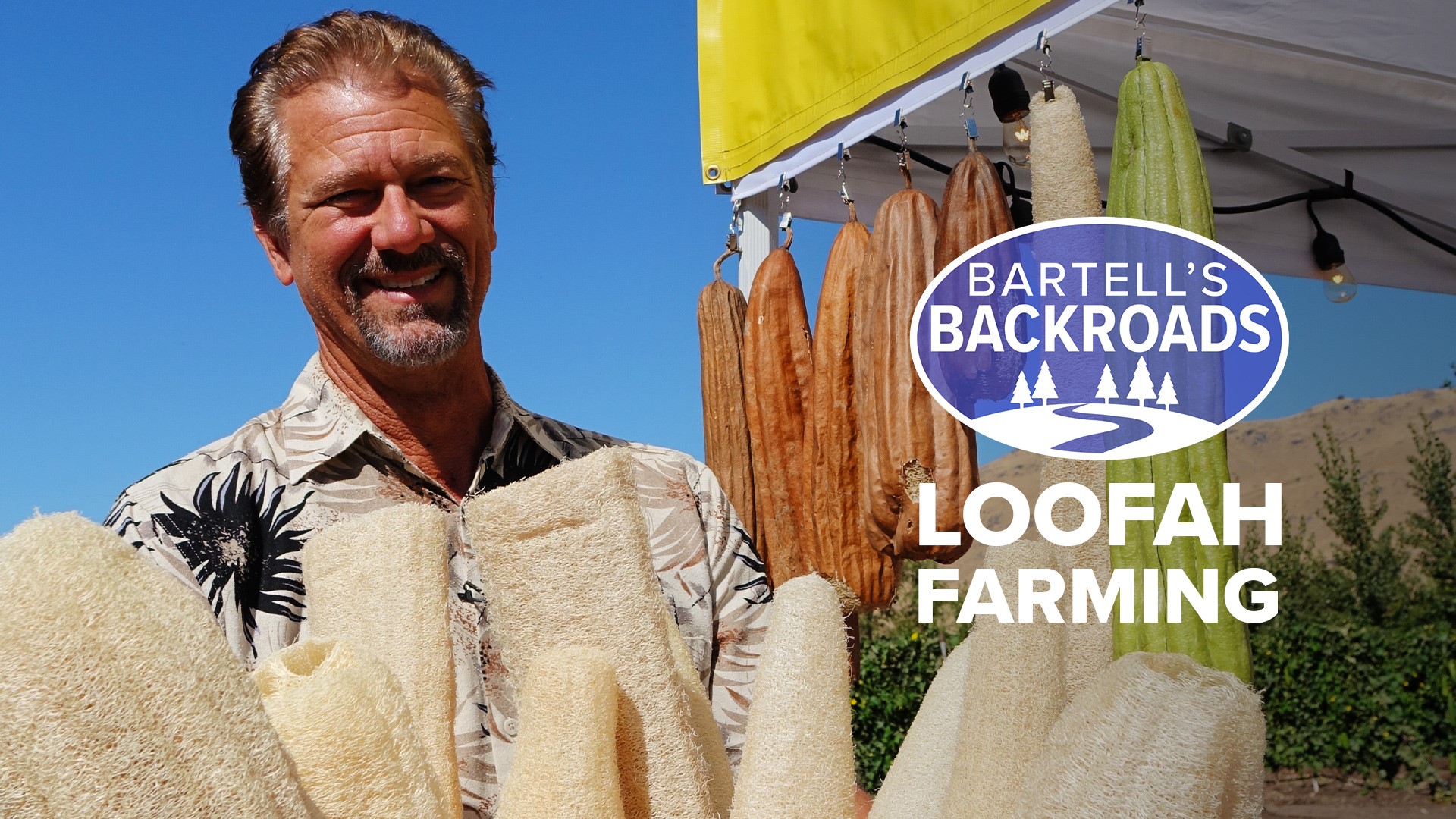 Did you know the original loofah is a plant? Luffa Gardens in Reedley is one of the few farms in the state growing the all-natural sponges on a large scale.