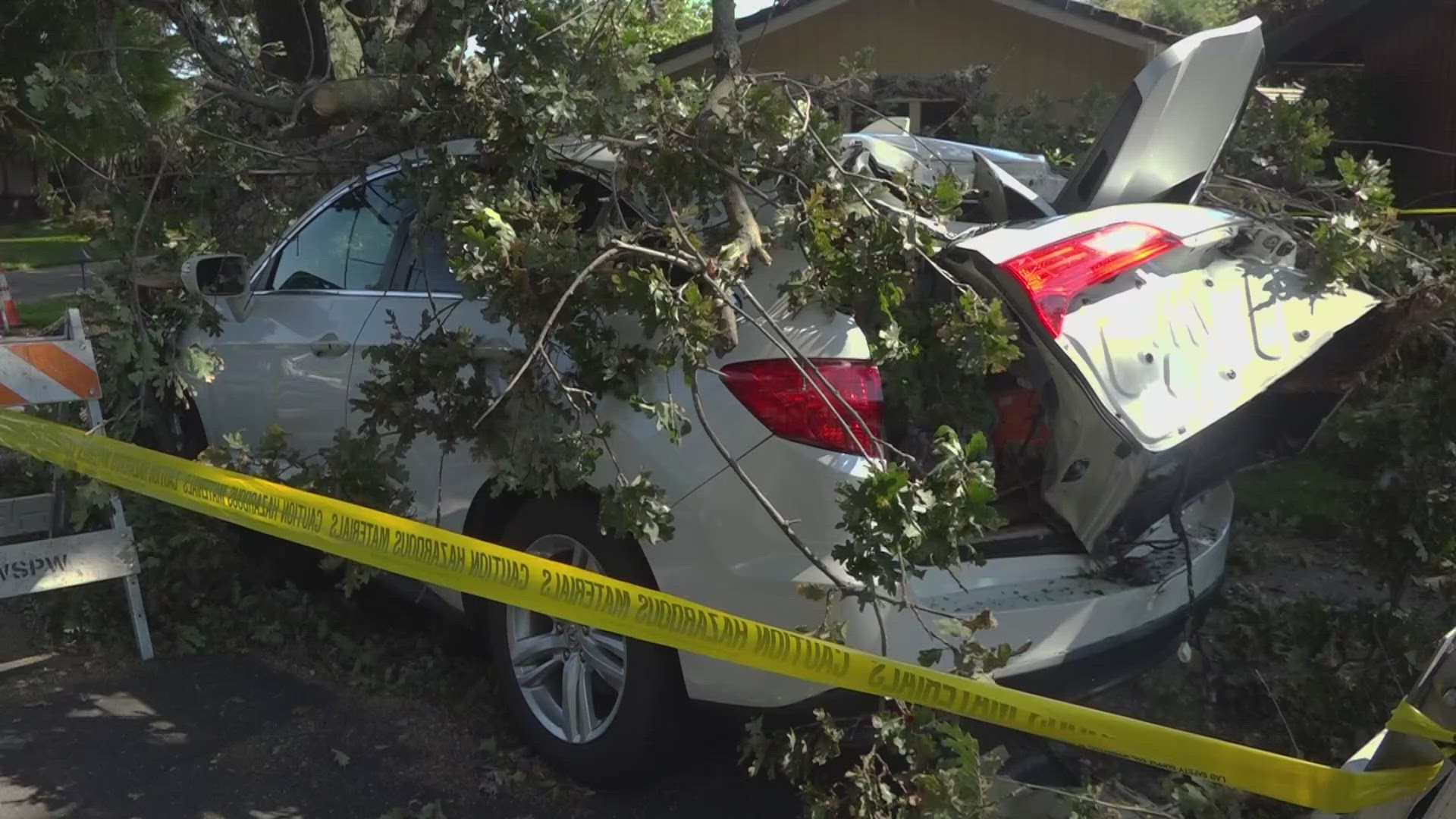 Oak tree limbs crush cars in West Sacramento