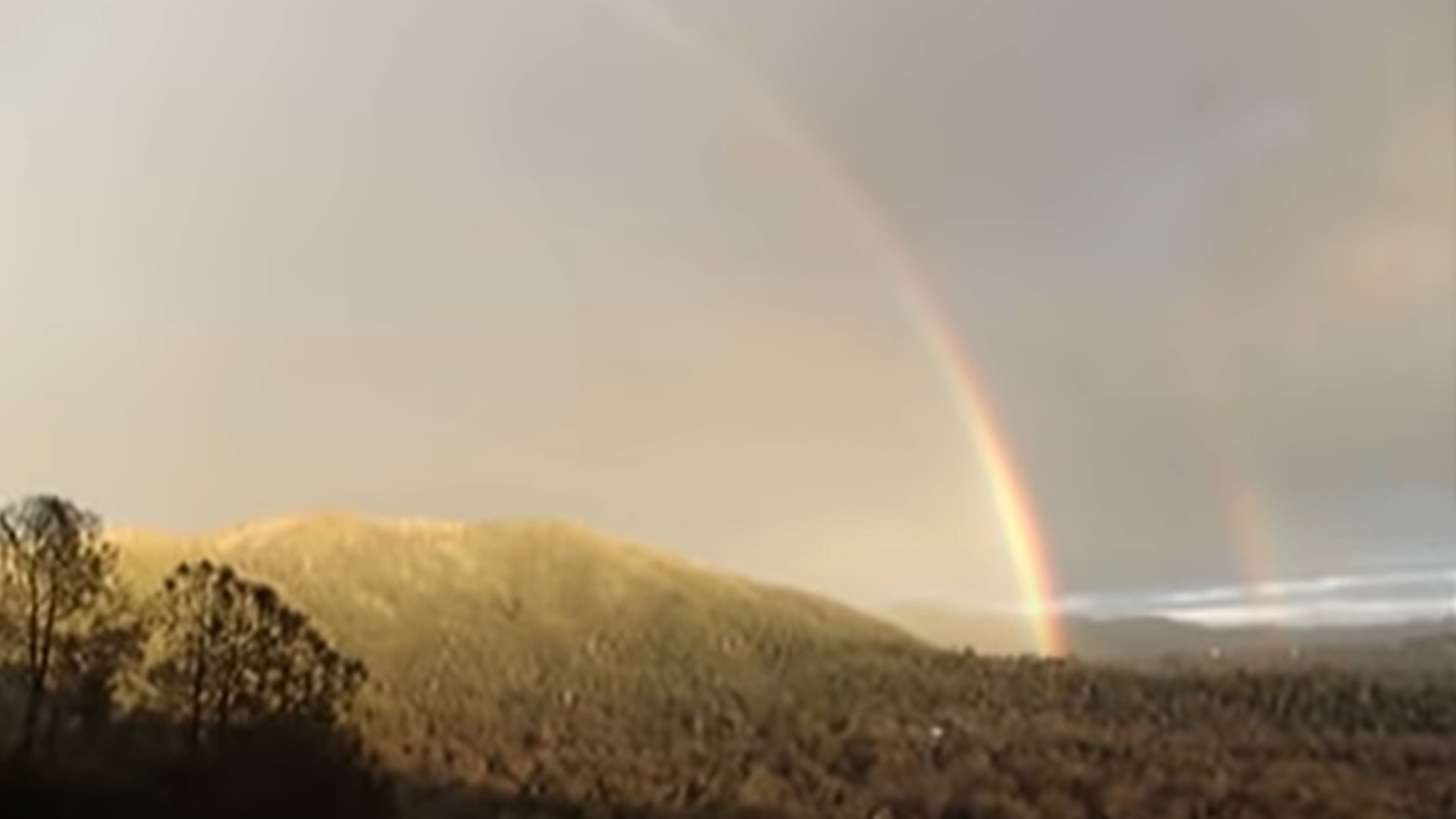 Can you shoot a home intruder under California law?