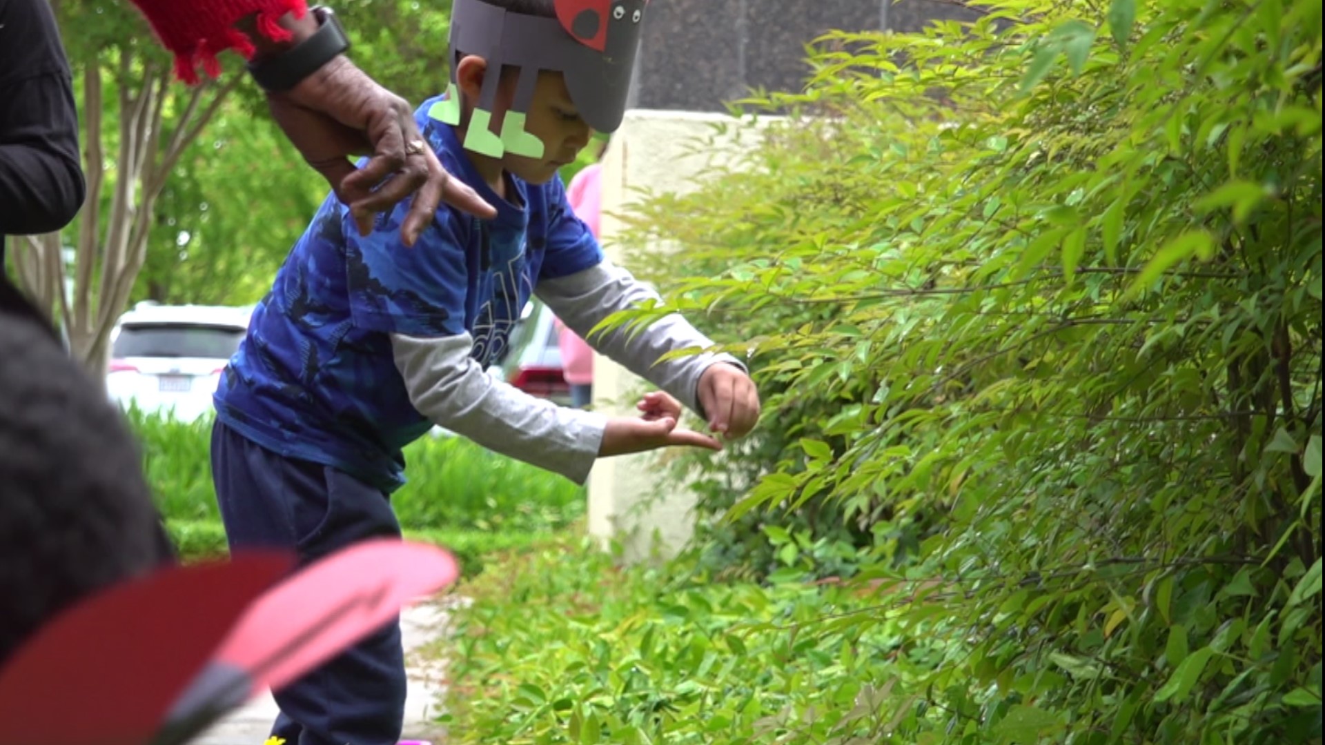 As part of their Earth Day celebrations, students of Stockton's Merryhill Preschool released over 2,500 ladybugs Thursday morning, taking the classroom outside.