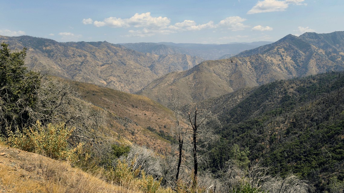 Family dying in California mountains made desperate plea - Vimarsana News