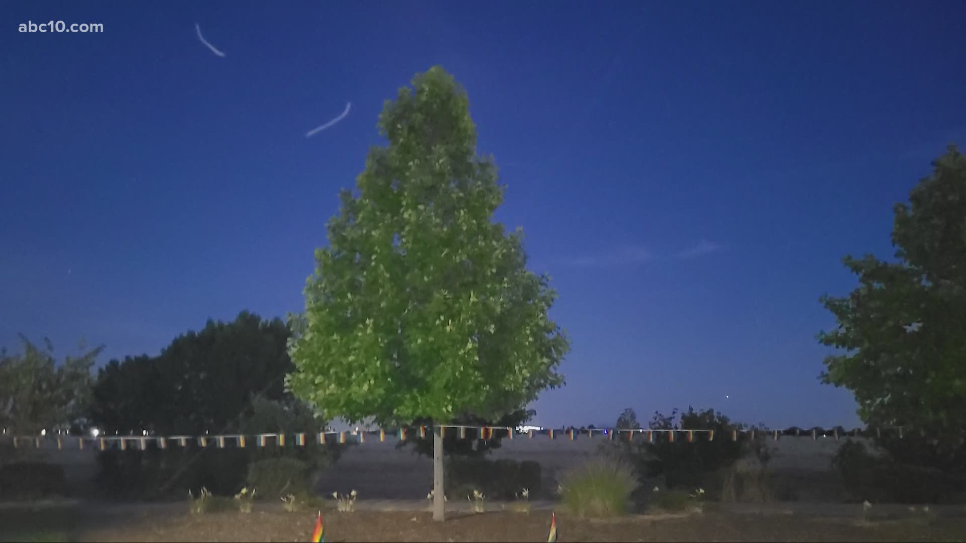 "It definitely feels like a hate crime to me because it feels targeted," says Doug Piper. He put up pride flags on a tree in his neighborhood that were taken down.