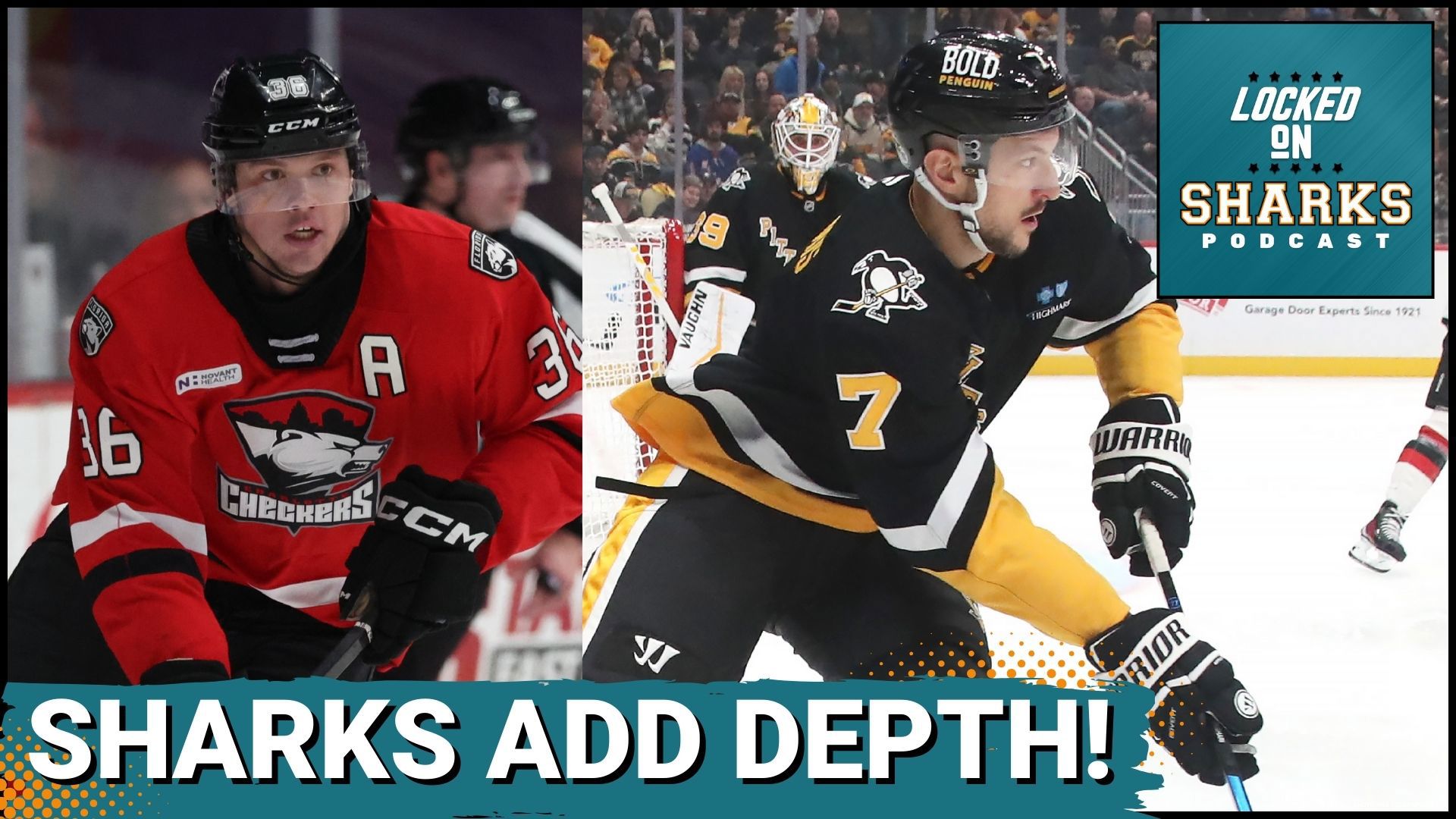 Amazing Sharks Activate Desharnais Off Injured Reserve; Leddy Sent To Ahl View Illustration Amazing Sharks Activate Desharnais Off Injured Reserve; Leddy Sent To Ahl View Illustration