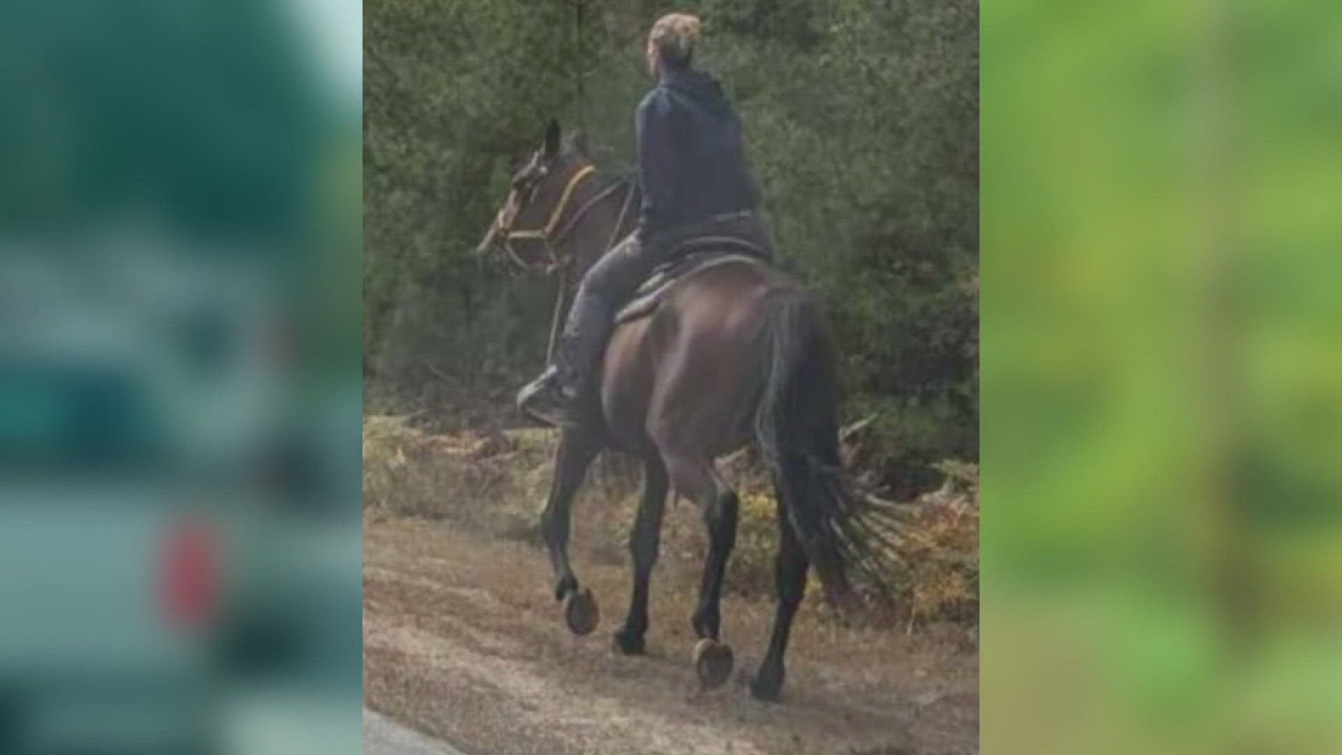 Worried she'd miss her post time at the Fryeburg Fair, Charlene Cushing took matters into her own hands and saddled up her horse Lucky Michael.