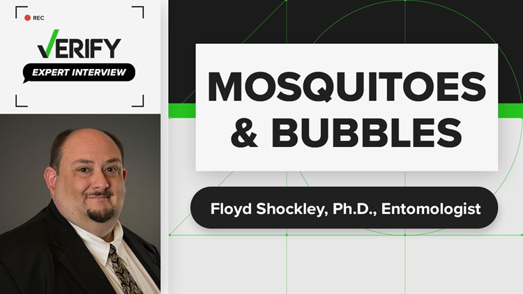 Do bubbles keep mosquitoes away? | Expert Interview with Floyd Shockley Ph.D.