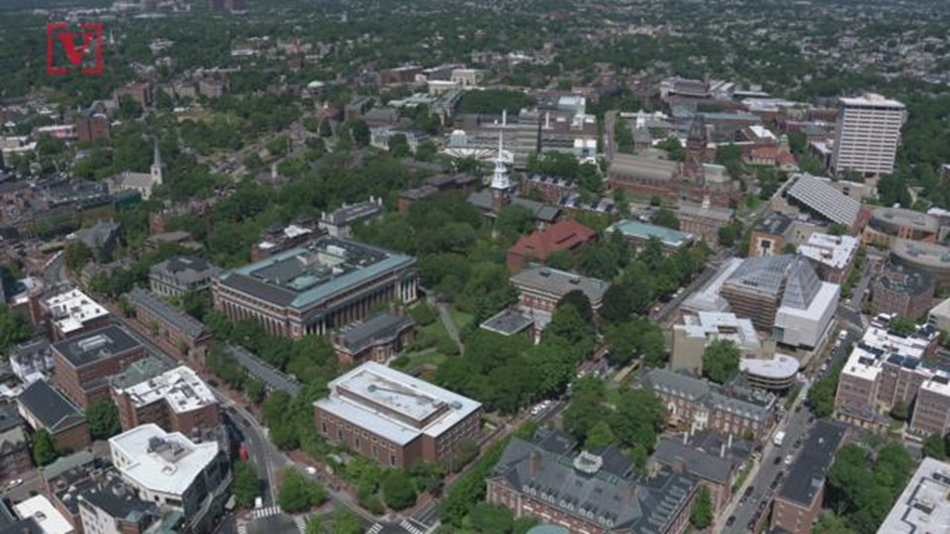 Removal of 100-Year Old Tree Upsets Harvard Students 