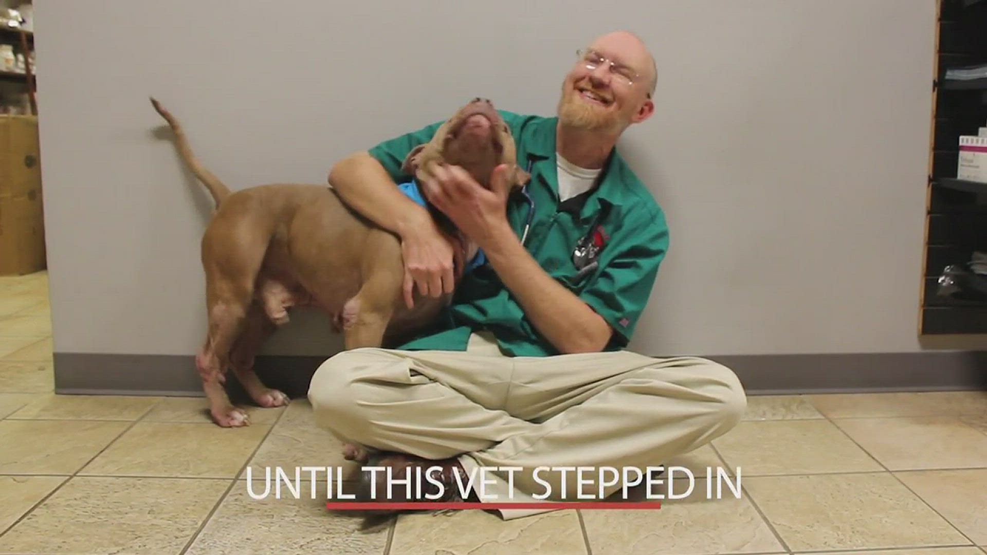 Vet saves dog from being euthanized