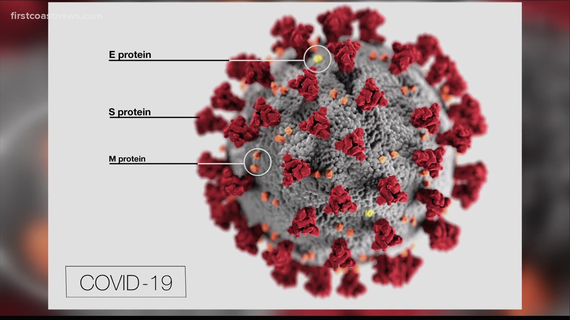 'Double mutant' COVID-19 variant first discovered in India now found in the U.S.