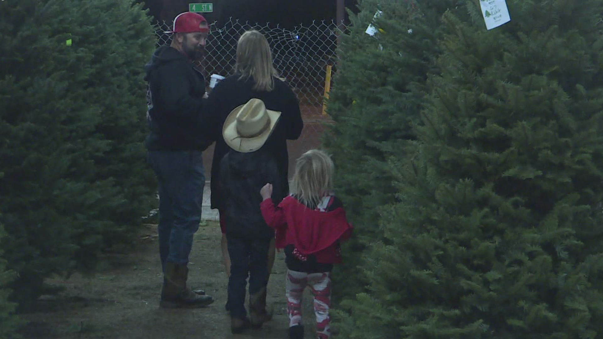 Tips on keeping a real Christmas tree alive and from drying out