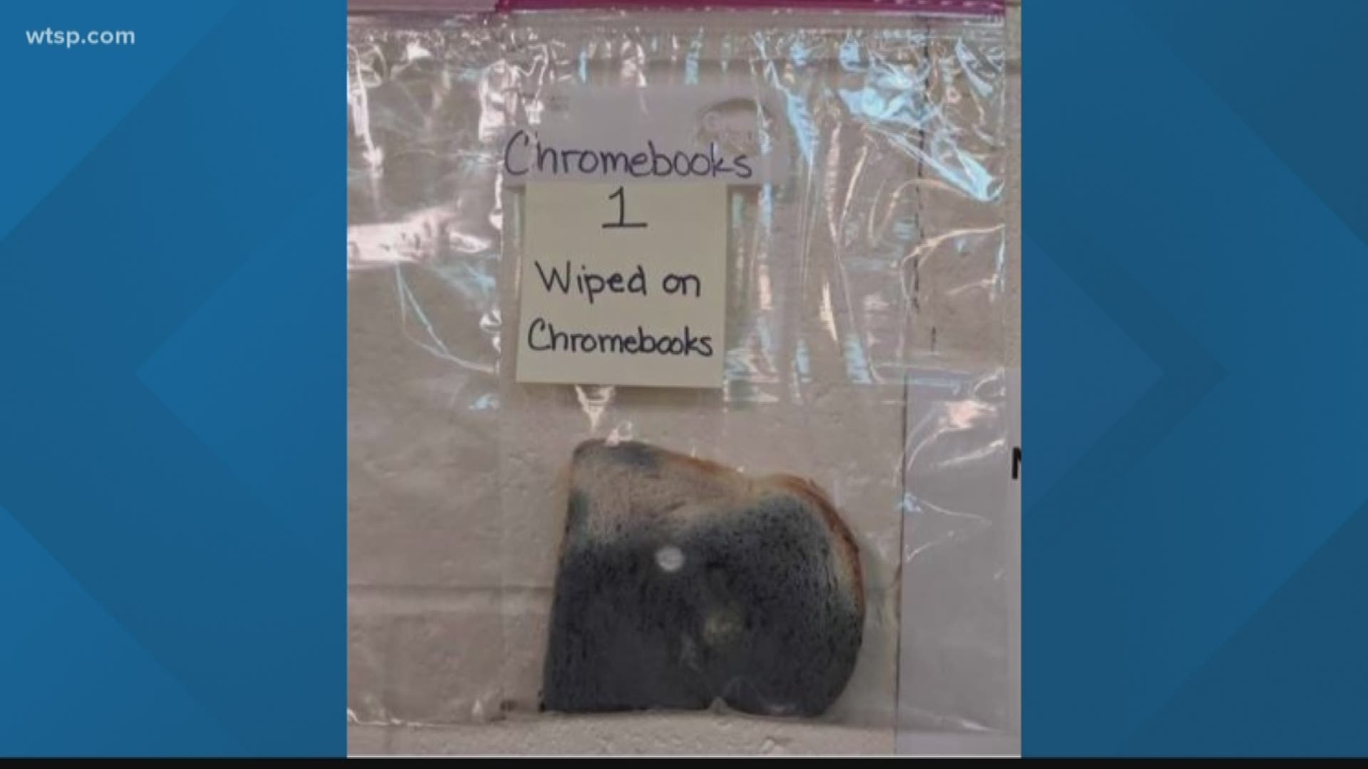 Idaho teacher Jaralee Annice Metcalf showed her students what happens to bread that's been touched with dirty hands. https://bit.ly/2M0rN2f