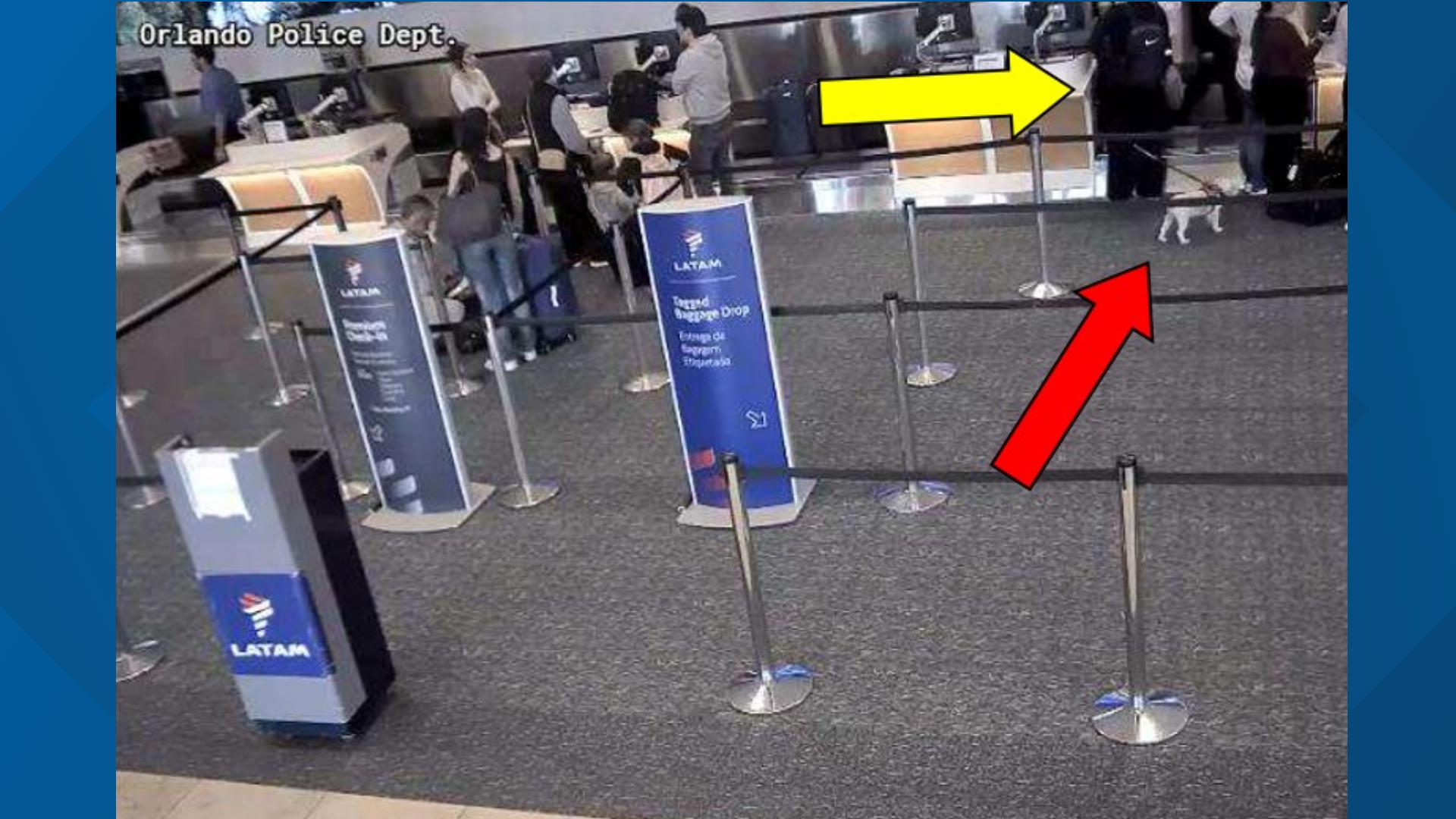 Florida woman drowned dog in airport bathroom after denied boarding ...