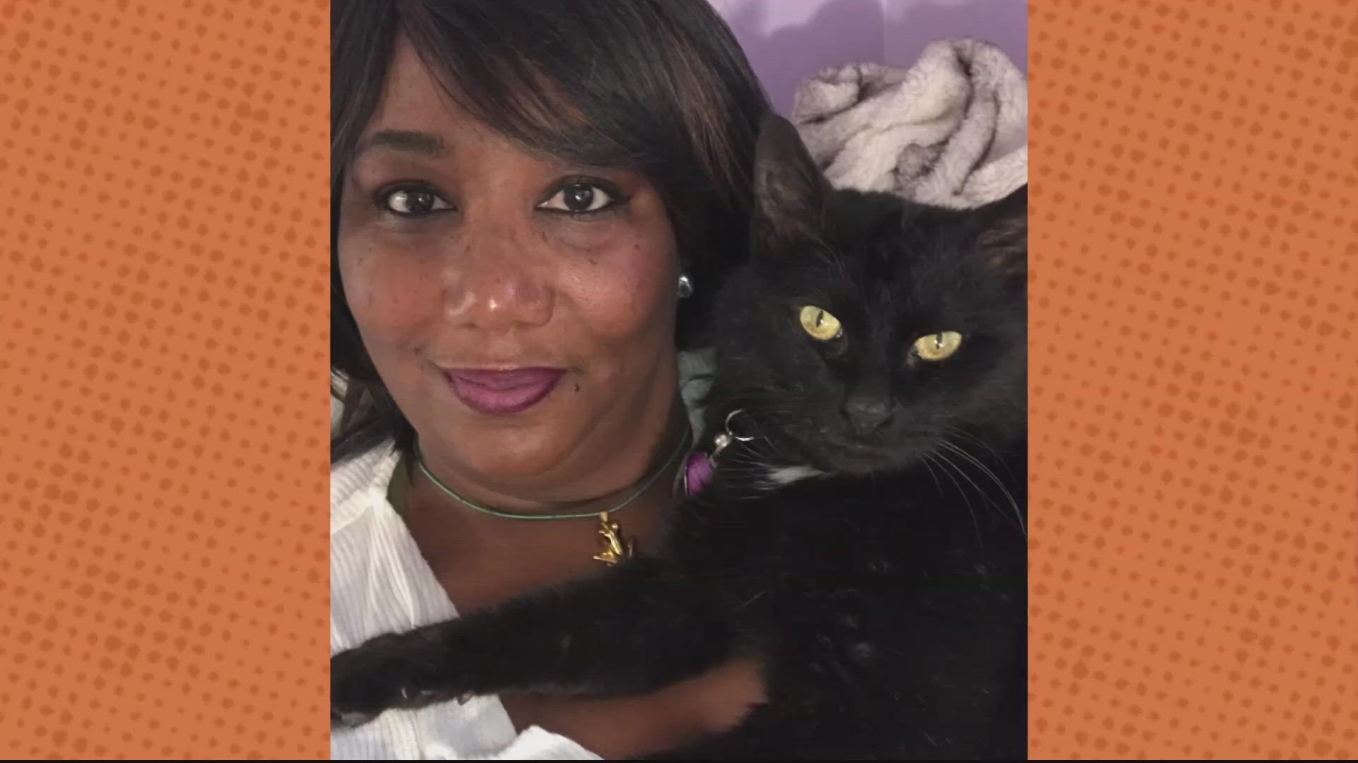 Barack was lost 200 miles from home, but thanks to a microchip, he's back with his family.