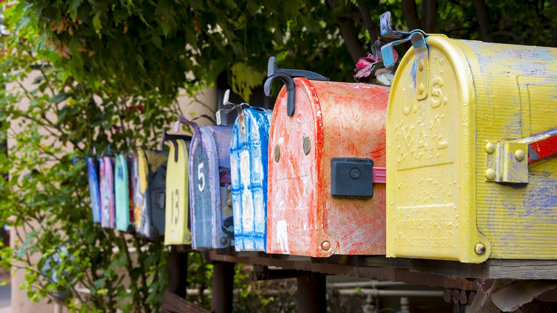 Wasps in your mailbox: Will dryer sheets keep them out - Vimarsana News