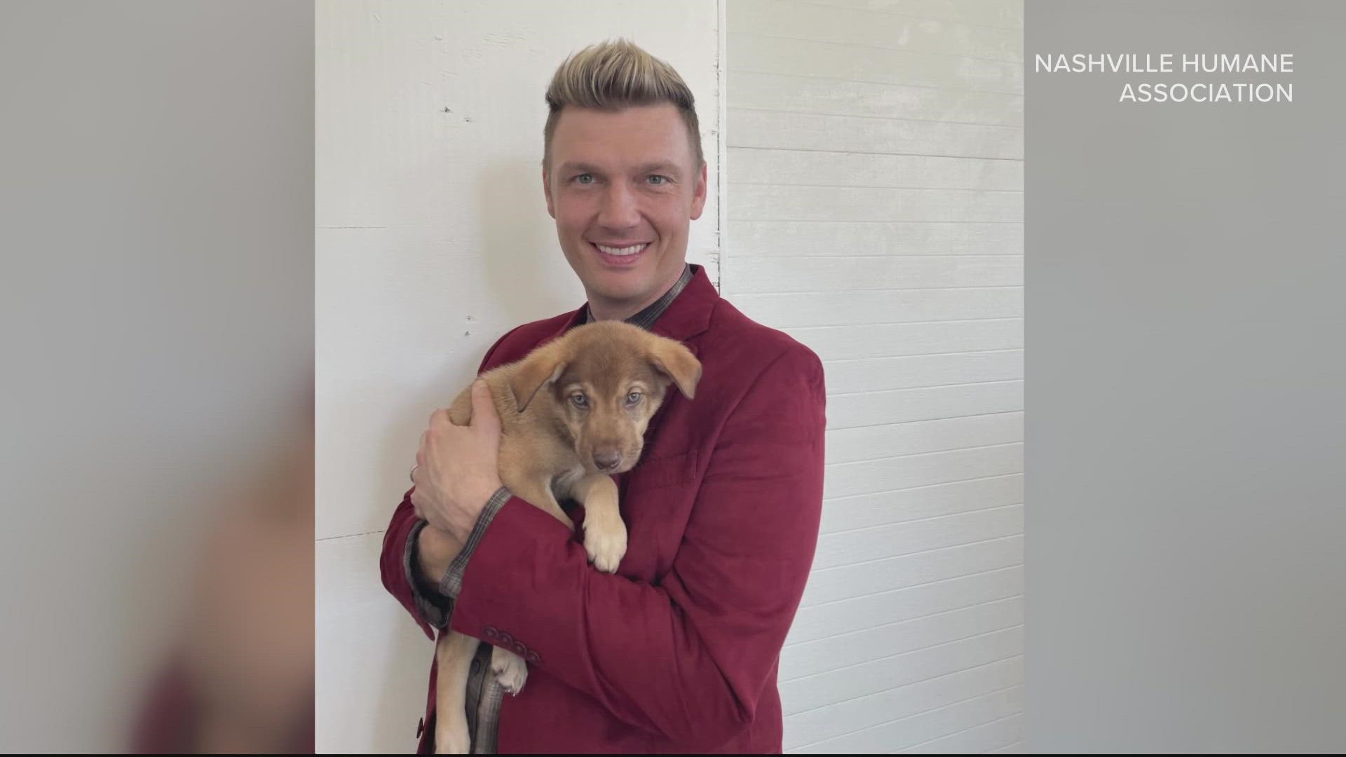 When a Nashville animal shelter named a litter of puppies after the Backstreet Boys, they probably weren't expecting to meet the real members of the boy band.