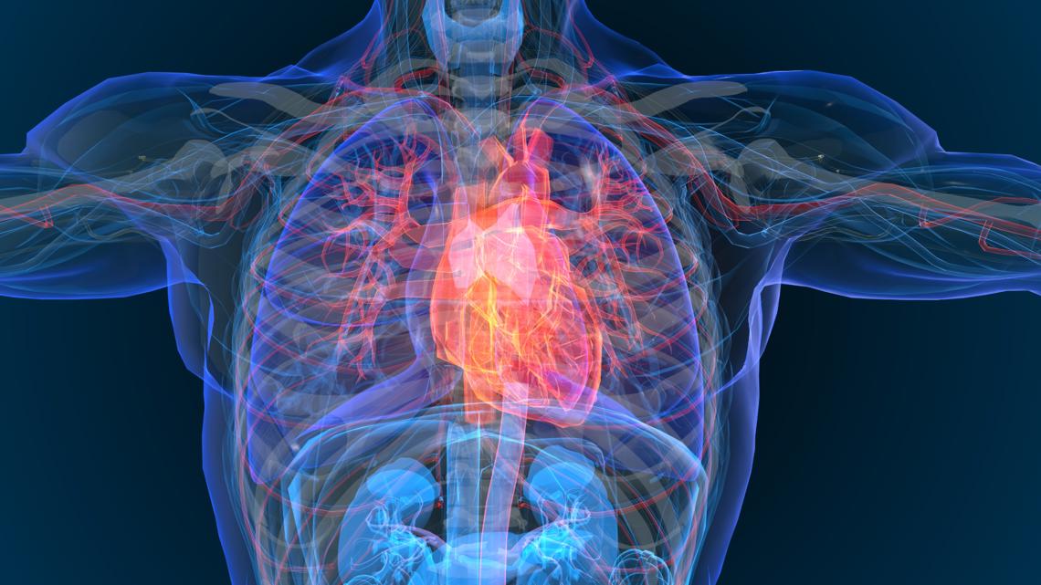 Why Guy: Why is there a higher risk of a heart attack on Mondays? - Vimarsana News