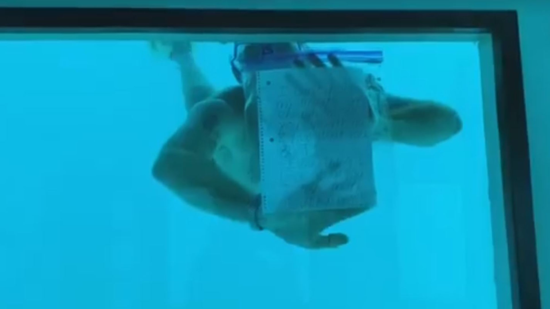 GoFundMe set up for family of man who died in underwater proposal